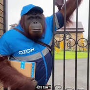 доставочка