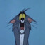 Tom cat