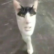 julia - steam id 76561199749320109