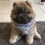 ZeTheChow