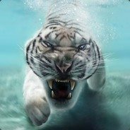 全球杰出帅逼代表