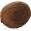 coconut