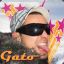 GaTo -GatoYeaH- أحبك ايزابيل