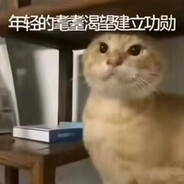 按理说你这个级别的基米无权哈我