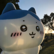 拼多多咸鱼大王