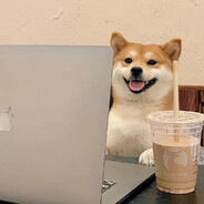 不爱喝乌龙的茶