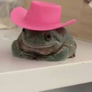 Jooj o Sapo Cowboy