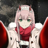 亲爱的弗兰克斯