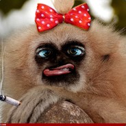 average SK's GAYming top1 fan