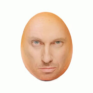 попугай