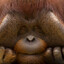 hurb
