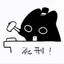 被猫单杀了