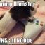 TouchMyHamster