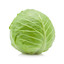 Introspective Cabbage