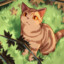 Maplem_枫书