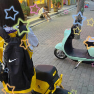 翻斗花园美羊羊😈