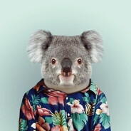 Koala-T™