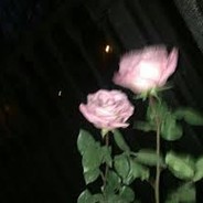 zxdesire_<3