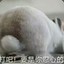我贼6