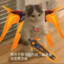 23岁中门对狙