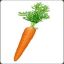 _CaRroT_