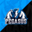 p3gasus_