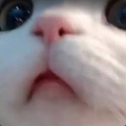 讲屁话没有用，让别人也节哀