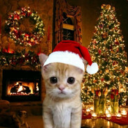 𝓥𝓲𝓮𝔀𝓮𝓻