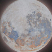 西伯利亚大秃驴