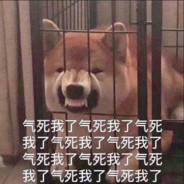 三天之内刮死你