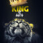 medo_ns18