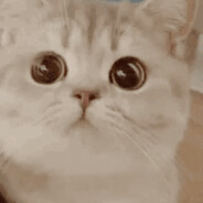 你愿意和我组一辈子乐队吗？