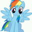 Rainbow Dash