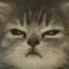 Relya