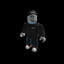 Roblox Jaden