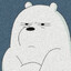 Ice Bear