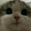 r5ms-