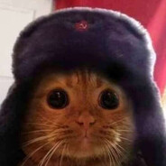 W4lεnZ😺