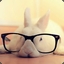 Funny Bunny