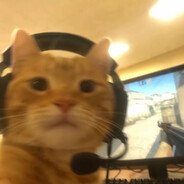 莫过耶都不勇易