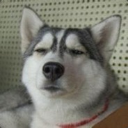 柠檬柚子茶
