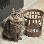 позывной еблан