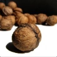 Camri.[all] > 0pex'Az-57'ee.q