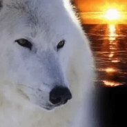 ГДЕТОНАТОР