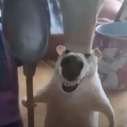 南工程第一狙击手