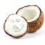 Coconutter069