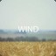 Wind