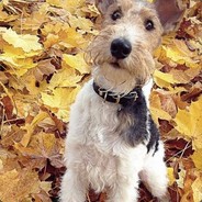 怎么荒唐怎么来