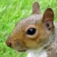 Squirrel's avatar