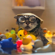 他妈的可卡因在浴室